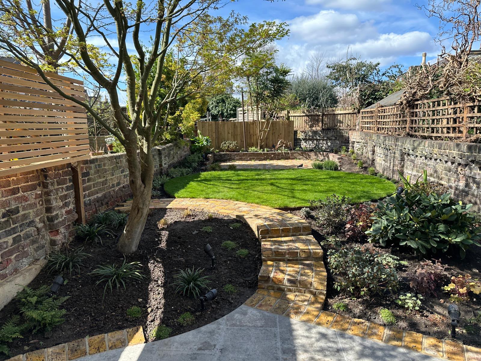 A walled garden with a curved green lawn, yellow stock-brick edging and steps, a multi-stem tree, and newly planted beds.